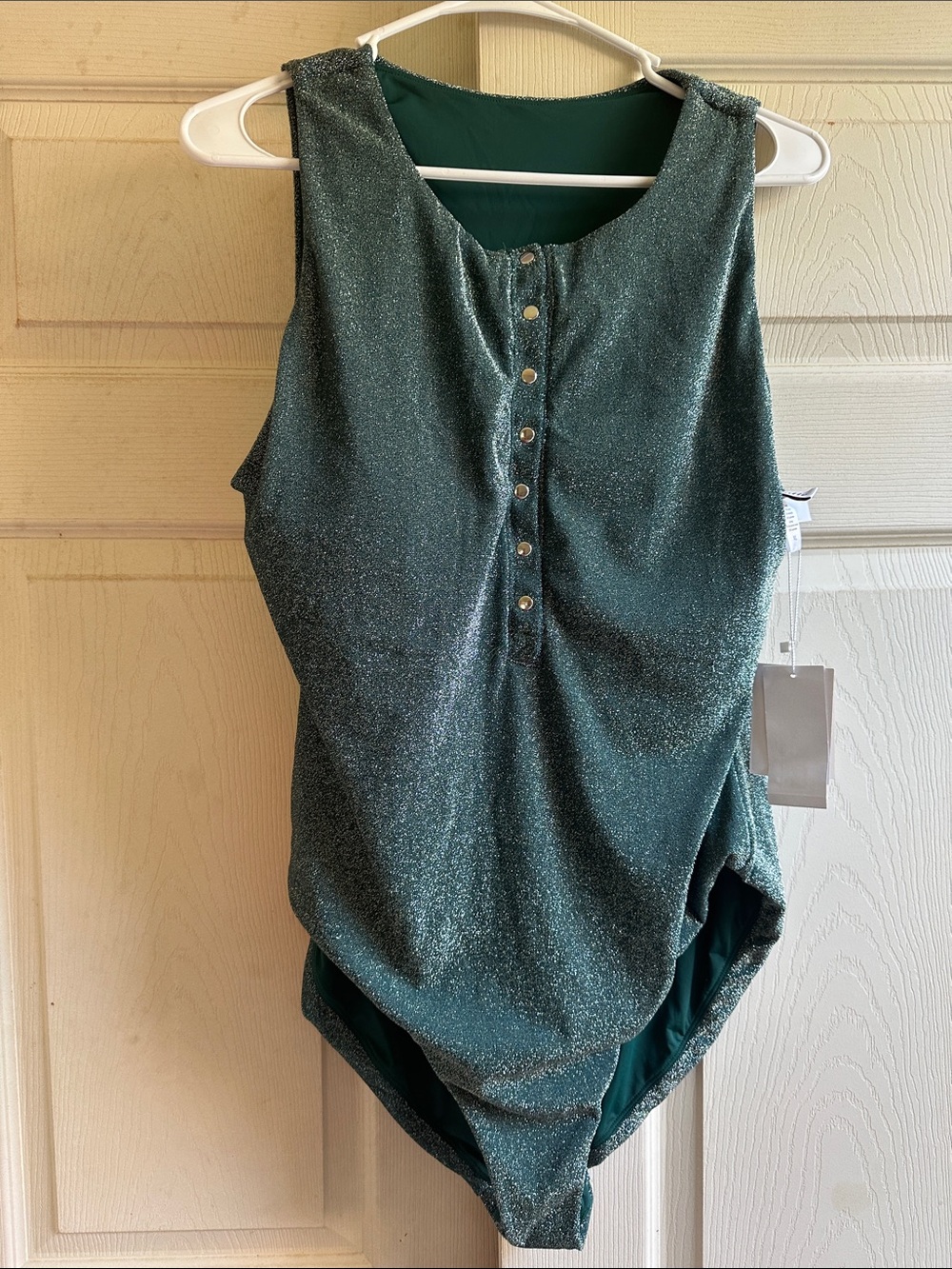 Andie Shimmery Teal One-Piece Swimsuit with Front Buttons - Picture 6 of 7